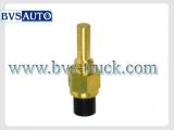 Temperature Sensor