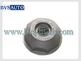 Hub Cap