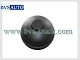 Fuel Filter Cover
